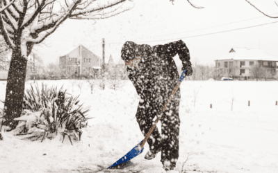Be a Snow Angel: A Winter Guide for Newcomers in Calgary and Safety Tips for Winter Warriors!