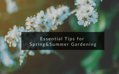 Thriving Gardens, Safe Gardens: Essential Tips for Spring & Summer Gardening